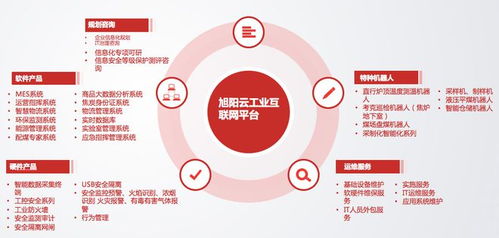 與傳統廠商聯姻推產品，這家數科公司做對了什么？